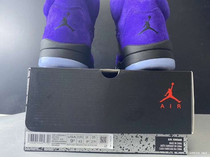Rep Jordan Air  136027-500 “Alternate Grape” 5 0514